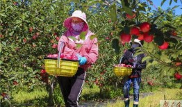 在线观看 早熟2014,青春叛逆下的成长困惑